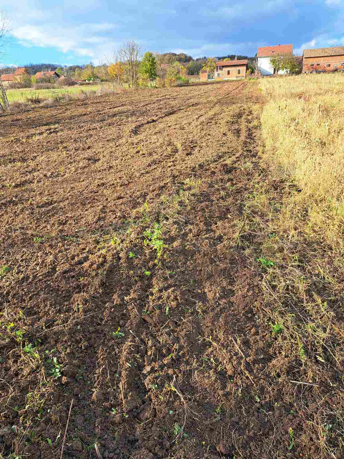 Uslužno freziranje i uredjenje dvorišta